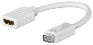 Kabel Mini DVI / HDMI monitor adapter